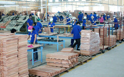 Mỹ kéo dài thời hạn rà soát 200 vụ chống bán phá giá vì Covid-19