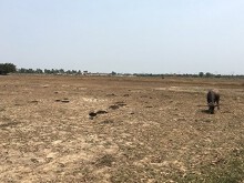 Lập khu tái định cư 18,5 ha cho người dân bị giải tỏa bởi dự án cao tốc Phan Thiết - Dầu Giây