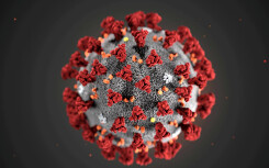Các nhà khoa học xác định được thời điểm xuất hiện virus corona từ tháng 10/2019