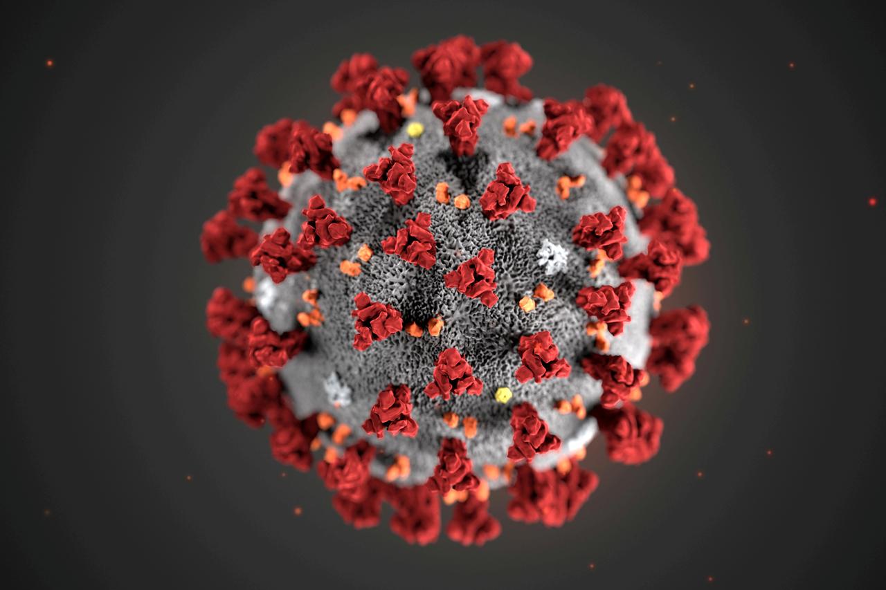 Các nhà khoa học xác định được thời điểm xuất hiện virus SARS-CoV-2 - Ảnh 1. Các nhà khoa học xác định được thời điểm xuất hiện virus SARS-CoV-2 - Ảnh 1.