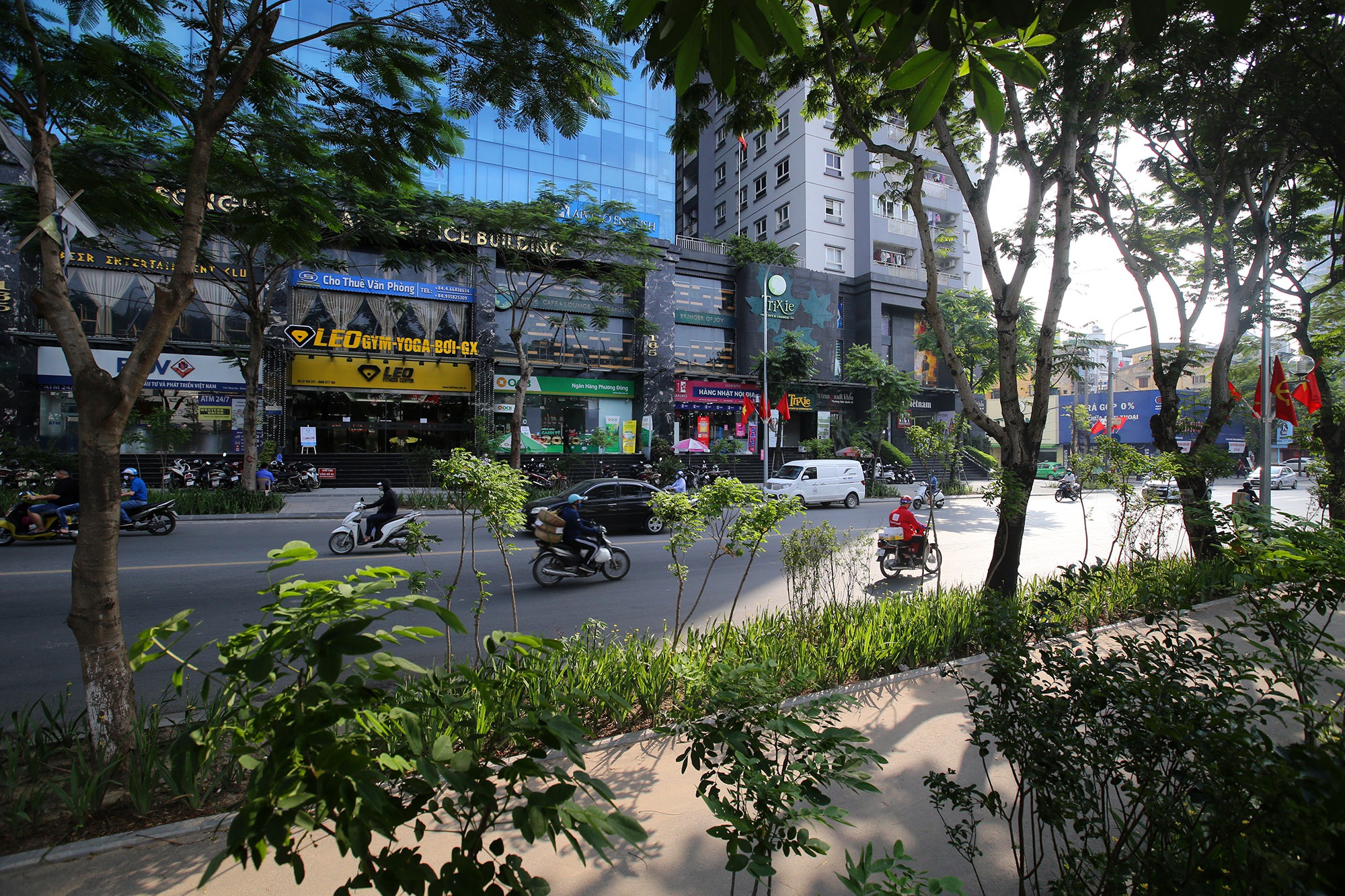 Những tuyến phố rợp bóng cây xanh làm đẹp Thủ đô - Ảnh 5. Những tuyến phố rợp bóng cây xanh làm đẹp Thủ đô - Ảnh 5.