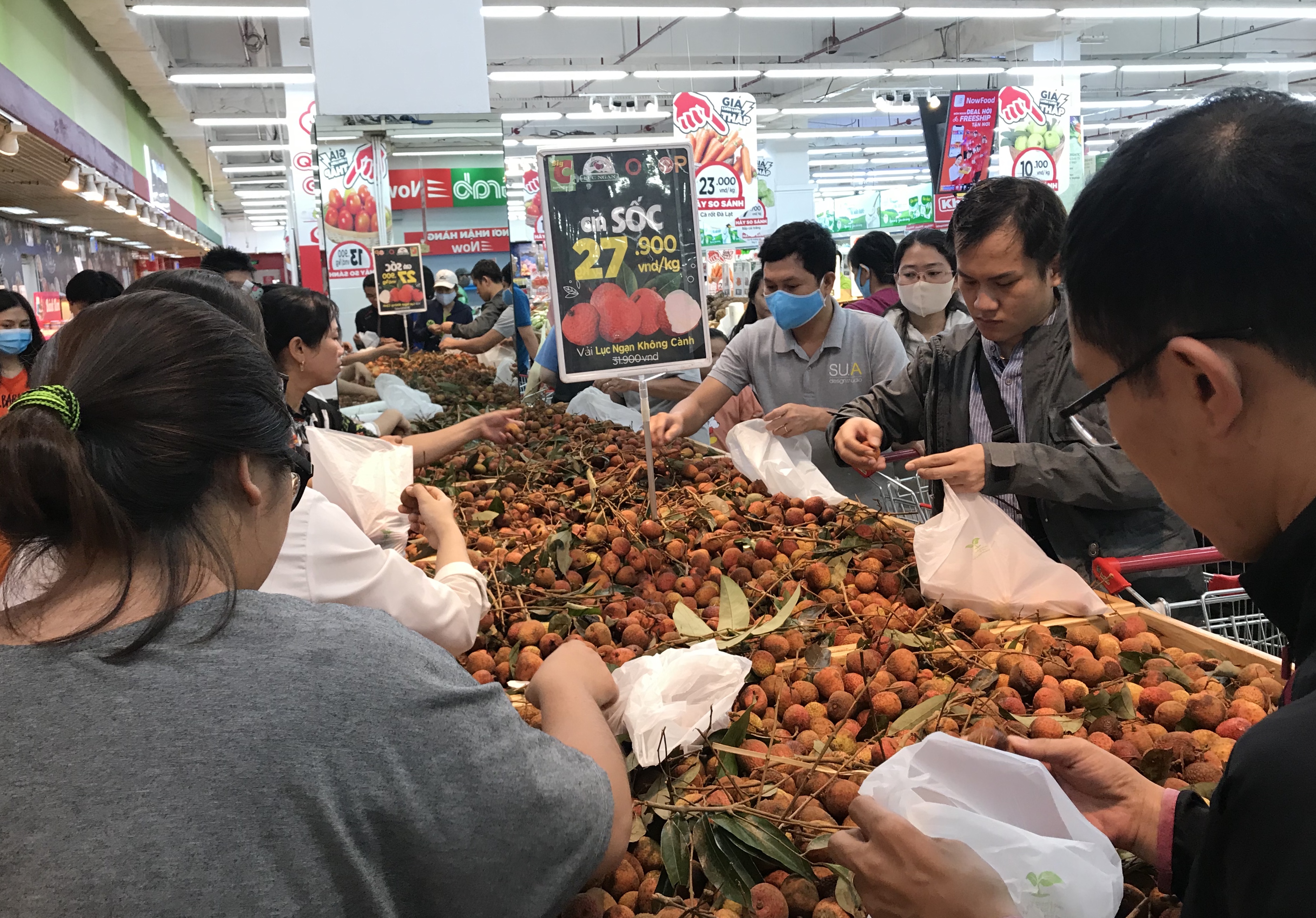 Siêu thị đưa vải thiều lên kệ, ví điện tử với giá chỉ 19.000 đồng/kg, có khách gom cả trăm kg - Ảnh 2. Siêu thị đưa vải thiều lên kệ, ví điện tử với giá chỉ 19.000 đồng/kg, có khách gom cả trăm kg - Ảnh 2.
