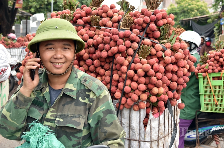 Vải thiều sớm Bắc Giang đã bán hết, có lúc giá lên đến 45.000 đồng/kg - Ảnh 1.