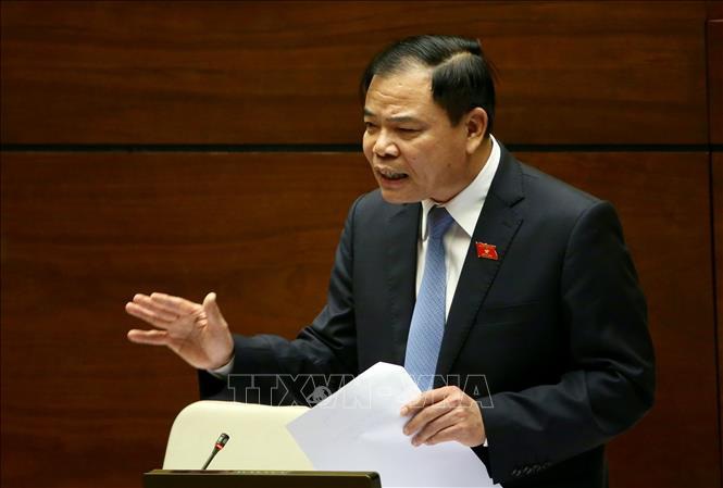 Vì sao người dân chỉ được ăn thịt lợn giá rẻ trên tivi? - Ảnh 2. Vì sao người dân chỉ được ăn thịt lợn giá rẻ trên tivi? - Ảnh 2.