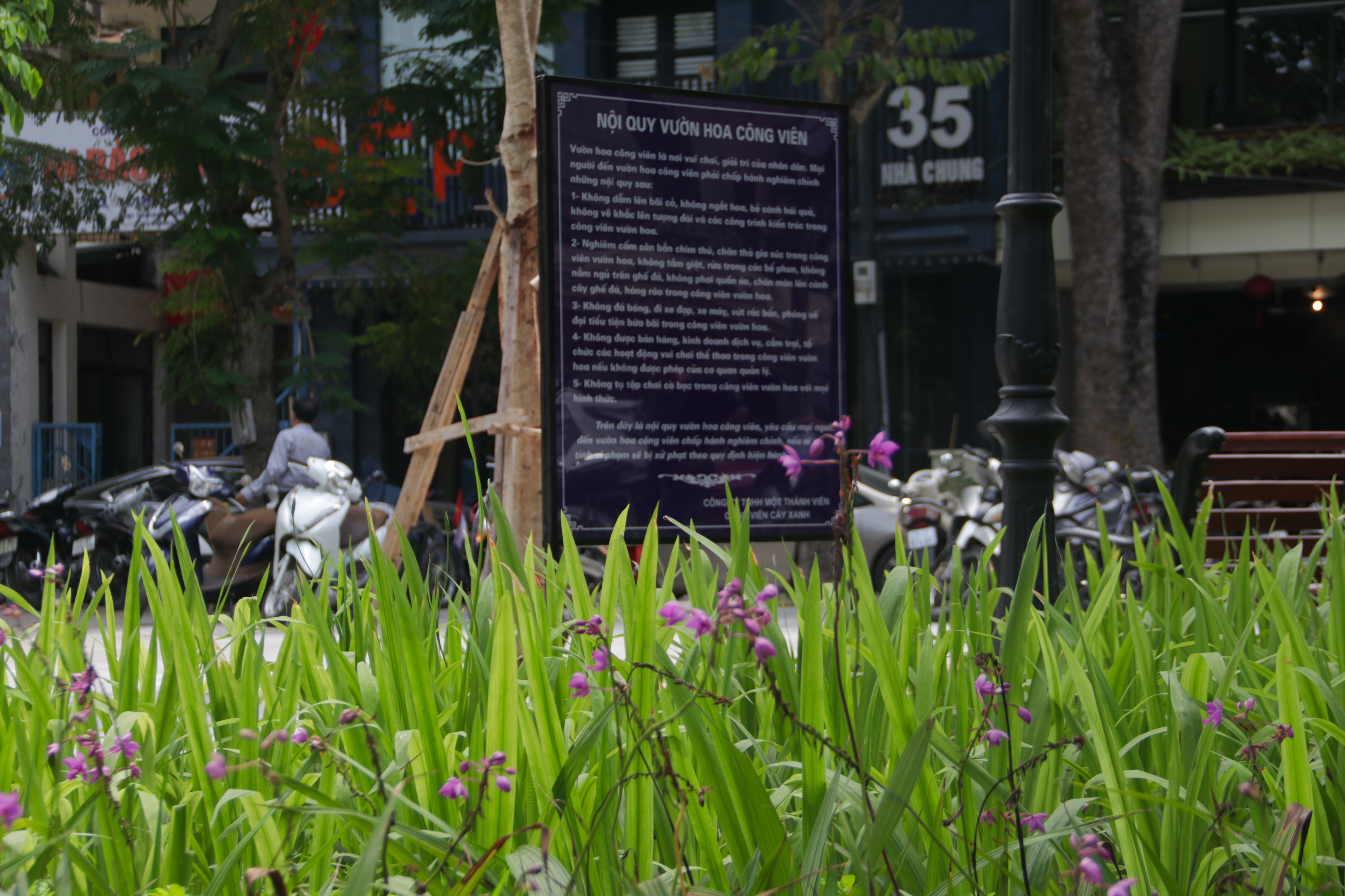 Cận cảnh vườn hoa kiểu mẫu hơn 5 tỷ đồng ở trung tâm Hà Nội - Ảnh 11. Cận cảnh vườn hoa kiểu mẫu hơn 5 tỷ đồng ở trung tâm Hà Nội - Ảnh 11.