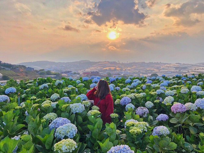 Thông Tin Tour Du Lịch Đà Lạt Mới Nhất 2020