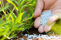 Phân bón Bình Điền kì vọng hồi phục lợi nhuận từ mức đáy