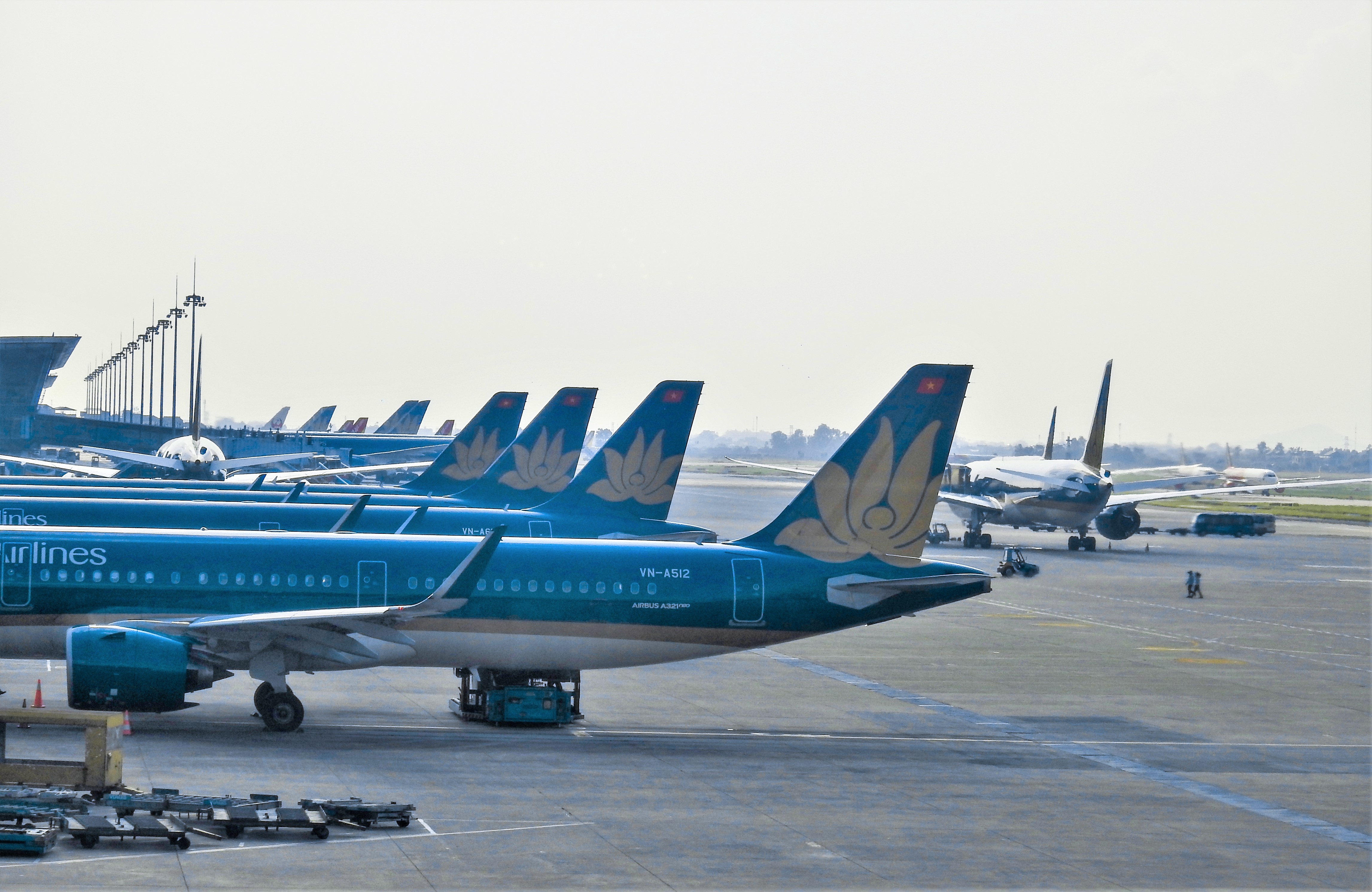 Vietnam Airlines lên tiếng việc hành khách ngã xe thang tử vong - Ảnh 1. Vietnam Airlines lên tiếng việc hành khách ngã xe thang tử vong - Ảnh 1.