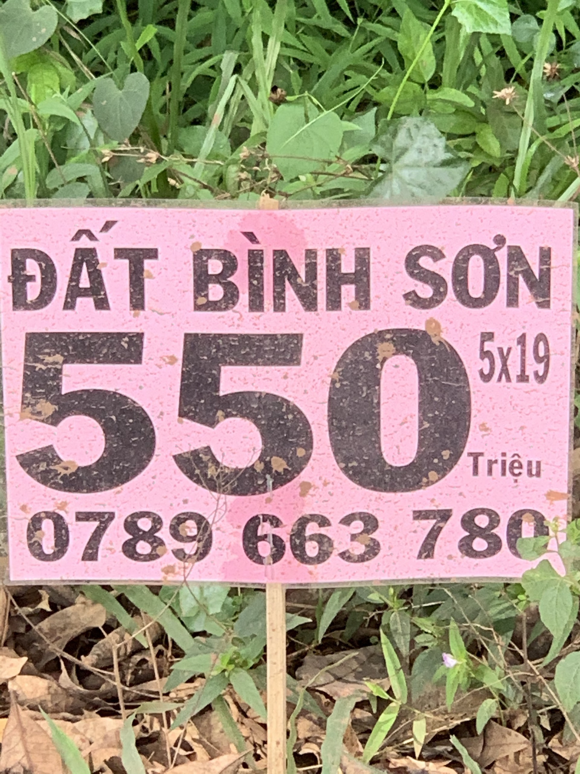 Người sân say Long Thành 'buồn' vì… giá đất tăng - Ảnh 2. Người sân say Long Thành 'buồn' vì… giá đất tăng - Ảnh 2.