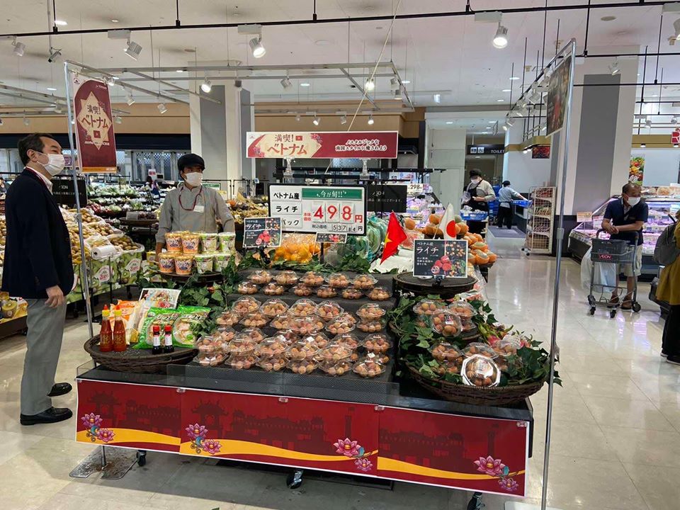 Người tiêu dùng hào hứng chia sẻ ảnh vải thiều Việt Nam bày bán trong siêu thị Nhật Bản - Ảnh 2. Người tiêu dùng hào hứng chia sẻ ảnh vải thiều Việt Nam bày bán trong siêu thị Nhật Bản - Ảnh 2.