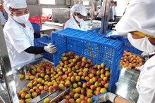 Bất chấp Covid-19, giao thương với Trung Quốc trong 5 tháng đầu năm 2020 vẫn đạt trên 44 tỉ USD