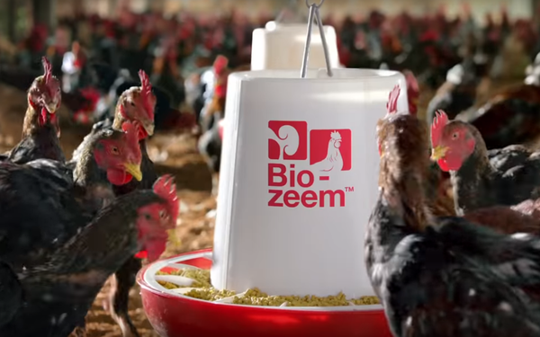 Công ty con Anco của Masan MEATLife dự kiến lỗ ít nhất 350 tỉ đồng năm 2020 - Ảnh 1. Công ty con Anco của Masan MEATLife dự kiến lỗ ít nhất 350 tỉ đồng năm 2020 - Ảnh 1.