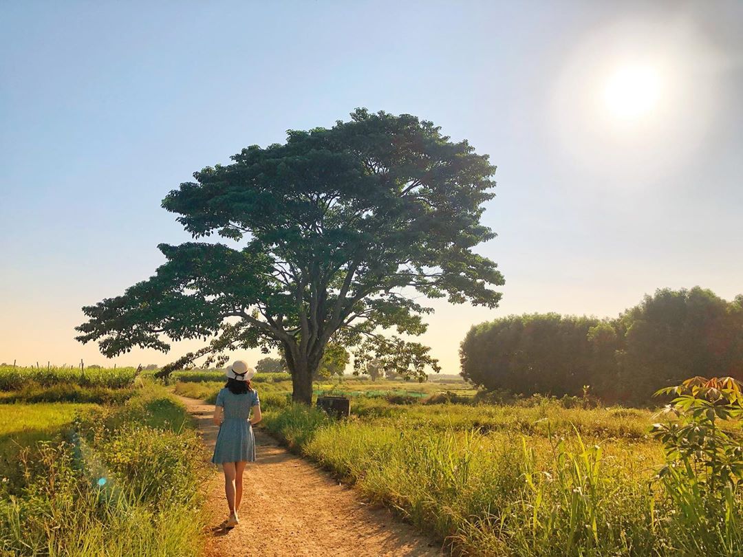 Tour du lịch Huế từ Đà Nẵng: Hè chao nghiêng cùng những gói tour đầy hấp dẫn - Ảnh 17. Tour du lịch Huế từ Đà Nẵng: Hè chao nghiêng cùng những gói tour đầy hấp dẫn - Ảnh 17.