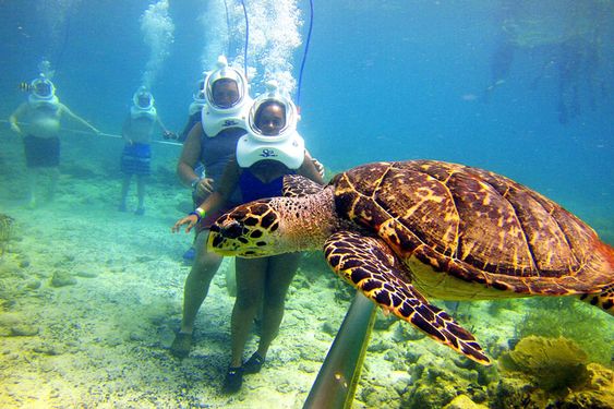 Tour du lịch Đà Nẵng 1 ngày: Đa dạng các hoạt động từ vui chơi thám hiểm đến nghỉ dưỡng thư giãn - Ảnh 5.