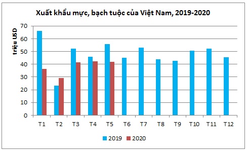  Xuất khẩu mực, bạch tuộc sang Trung Quốc tăng phi mã  trong tháng 5 - Ảnh 1.