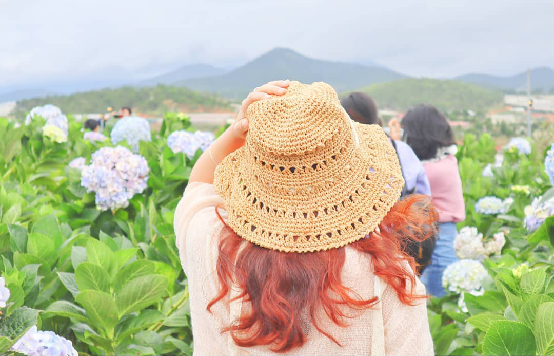 Tour du lịch Đà Lạt tháng 7: Vô vàn điểm đến hấp dẫn tại Thành phố ngàn hoa  - Ảnh 22.