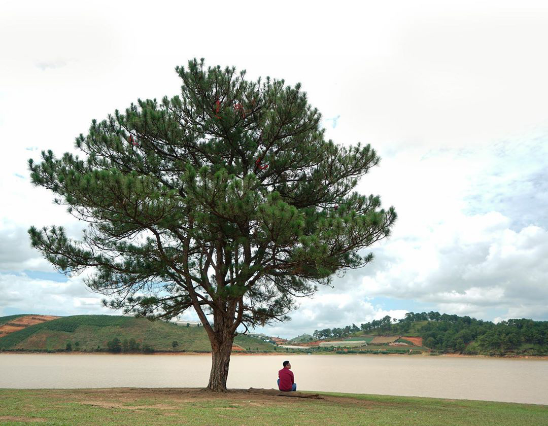 Tour du lịch Đà Lạt tháng 7: Vô vàn điểm đến hấp dẫn tại Thành phố ngàn hoa  - Ảnh 21.