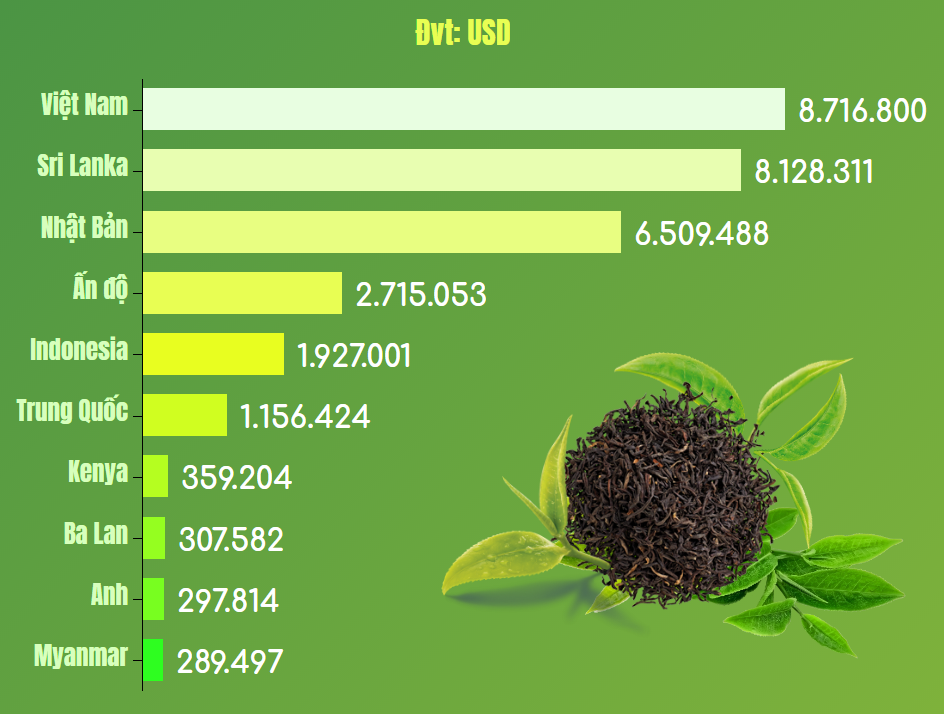 Xuất khẩu trà Việt Nam vào Đài Loan giảm gần 11% trong 5 tháng - Ảnh 1. Xuất khẩu trà Việt Nam vào Đài Loan giảm gần 11% trong 5 tháng - Ảnh 1.