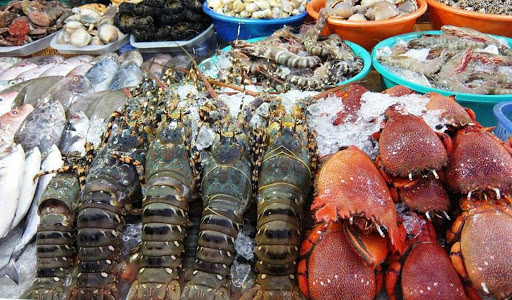 Sợ Vũng Tàu đông đúc, ghé ngay resort ở Hồ Tràm để hưởng thụ biển xanh - Ảnh 9. Sợ Vũng Tàu đông đúc, ghé ngay resort ở Hồ Tràm để hưởng thụ biển xanh - Ảnh 9.