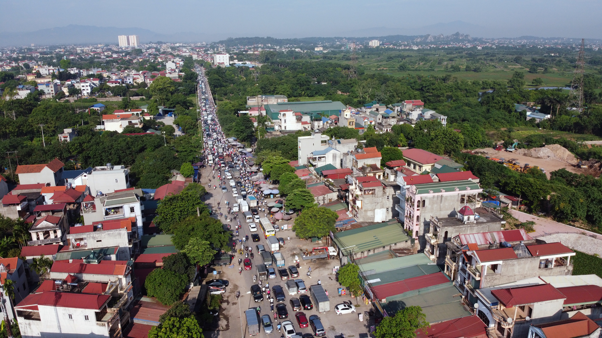 Mai Lĩnh - Ảnh 1.