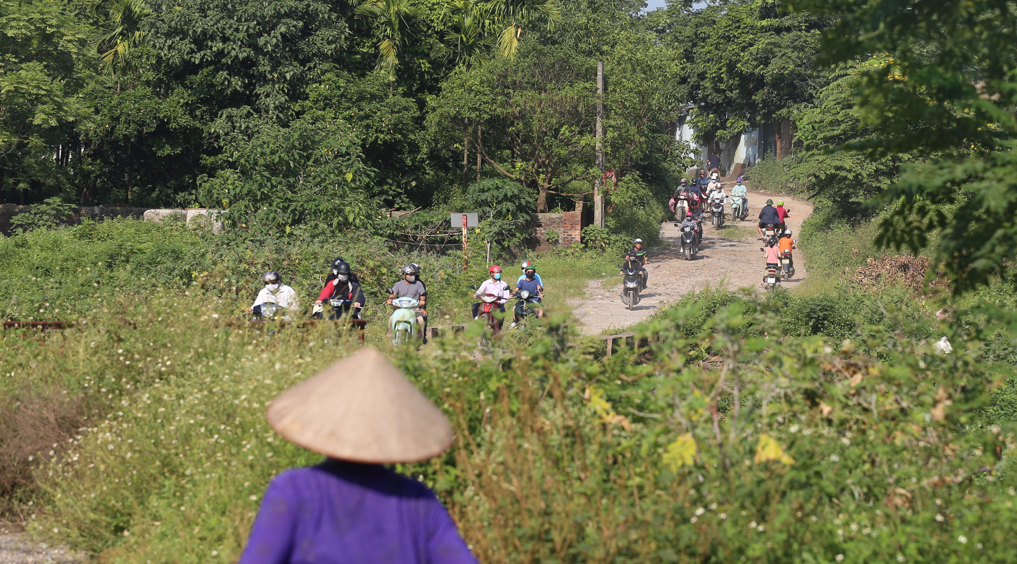 Mai Lĩnh - Ảnh 19.