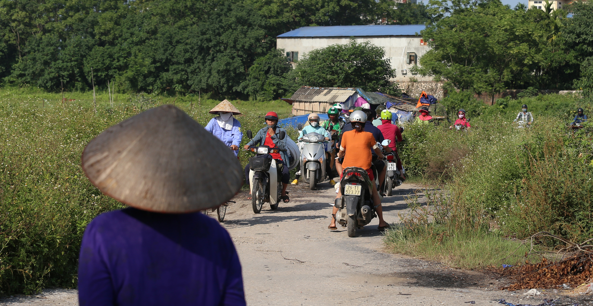 Mai Lĩnh - Ảnh 20.