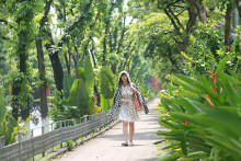 Đoạn đường Kim Mã từng cắt cành, di dời cây cổ thụ làm đường sắt đang dần được tái phủ xanh