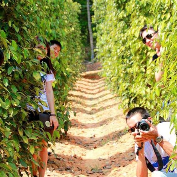 Tour du lịch Phú Quốc tháng 7: Tận hưởng kỳ nghỉ hè “đảo ngọc” với giá tour hấp dẫn - Ảnh 15. Tour du lịch Phú Quốc tháng 7: Tận hưởng kỳ nghỉ hè “đảo ngọc” với giá tour hấp dẫn - Ảnh 15.