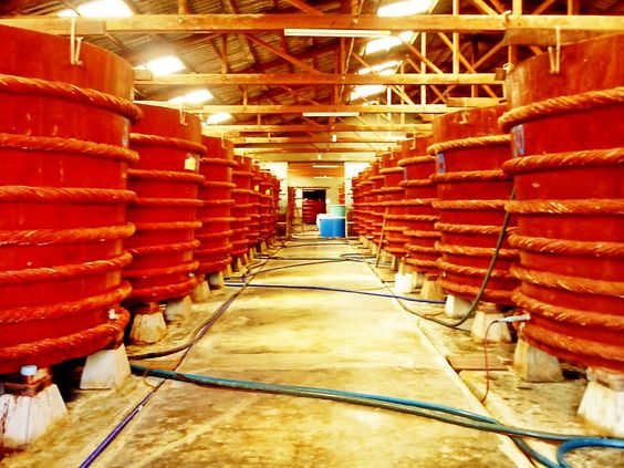 Tour du lịch Phú Quốc tháng 7: Tận hưởng kỳ nghỉ hè “đảo ngọc” với giá tour hấp dẫn - Ảnh 18. Tour du lịch Phú Quốc tháng 7: Tận hưởng kỳ nghỉ hè “đảo ngọc” với giá tour hấp dẫn - Ảnh 18.