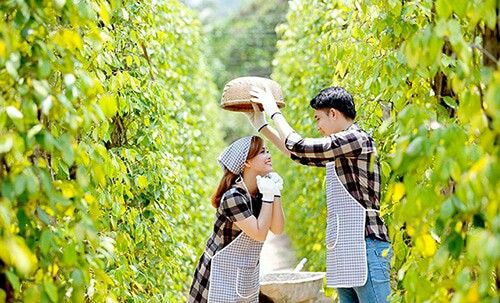 Tour du lịch Phú Quốc tháng 7: Tận hưởng kỳ nghỉ hè “đảo ngọc” với giá tour hấp dẫn - Ảnh 16. Tour du lịch Phú Quốc tháng 7: Tận hưởng kỳ nghỉ hè “đảo ngọc” với giá tour hấp dẫn - Ảnh 16.