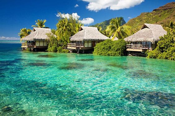 Tour du lịch Phú Quốc tháng 7: Tận hưởng kỳ nghỉ hè “đảo ngọc” với giá tour hấp dẫn - Ảnh 14. Tour du lịch Phú Quốc tháng 7: Tận hưởng kỳ nghỉ hè “đảo ngọc” với giá tour hấp dẫn - Ảnh 14.