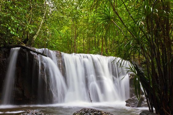 Tour du lịch Phú Quốc tháng 7: Tận hưởng kỳ nghỉ hè “đảo ngọc” với giá tour hấp dẫn - Ảnh 8. Tour du lịch Phú Quốc tháng 7: Tận hưởng kỳ nghỉ hè “đảo ngọc” với giá tour hấp dẫn - Ảnh 8.