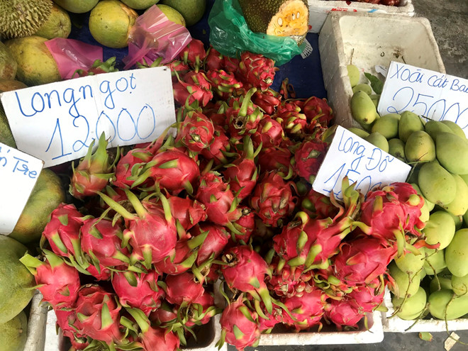 Hơn 3.000 đồng/kg thanh long, dân tranh thủ mua về cho gà ăn - Ảnh 7. Hơn 3.000 đồng/kg thanh long, dân tranh thủ mua về cho gà ăn - Ảnh 7.