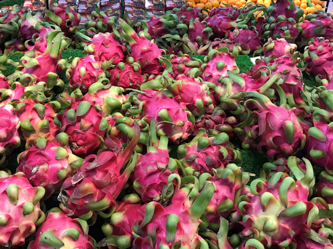 Hơn 3.000 đồng/kg thanh long, dân tranh thủ mua về cho gà ăn - Ảnh 4. Hơn 3.000 đồng/kg thanh long, dân tranh thủ mua về cho gà ăn - Ảnh 4.