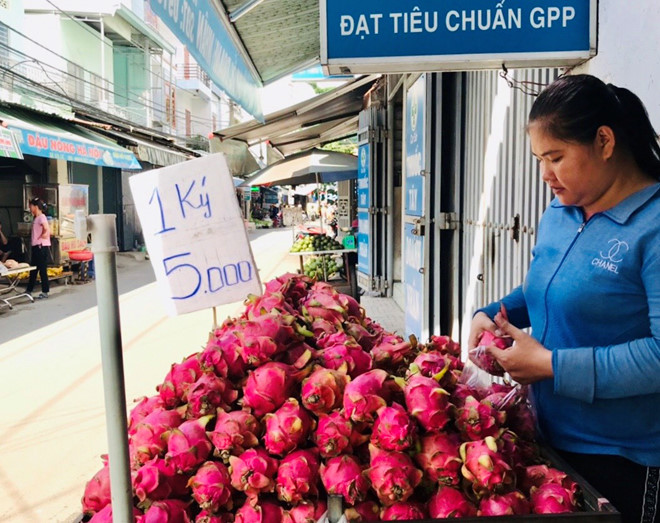Hơn 3.000 đồng/kg thanh long, dân tranh thủ mua về cho gà ăn - Ảnh 1. Hơn 3.000 đồng/kg thanh long, dân tranh thủ mua về cho gà ăn - Ảnh 1.