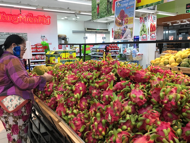 Hơn 3.000 đồng/kg thanh long, dân tranh thủ mua về cho gà ăn - Ảnh 5. Hơn 3.000 đồng/kg thanh long, dân tranh thủ mua về cho gà ăn - Ảnh 5.