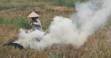 Chất lượng không khí đạt ngưỡng 'rất xấu' do tình trạng đốt rơm rạ