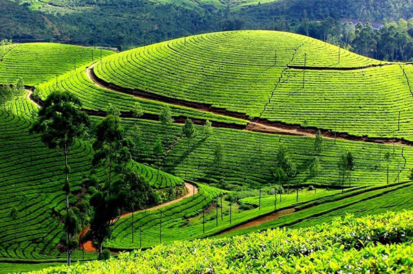 ‘Phao cứu sinh’ cho ngành du lịch sau đại dịch Covid-19 - Ảnh 2. ‘Phao cứu sinh’ cho ngành du lịch sau đại dịch Covid-19 - Ảnh 2.