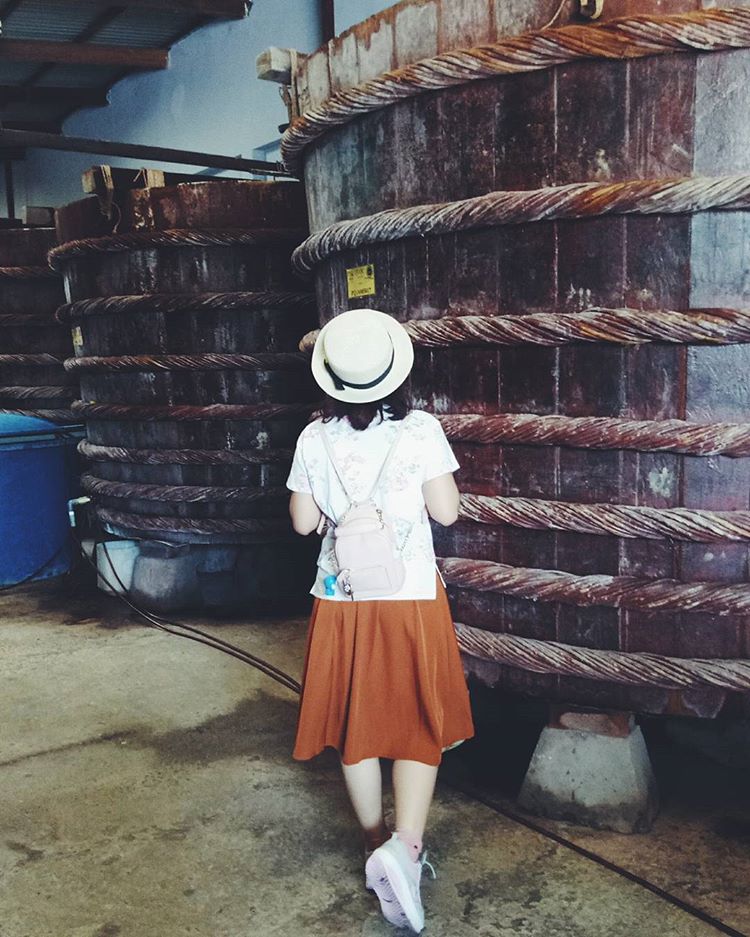 Tour du lịch Phú Quốc giá rẻ từ Hà Nội: Du ngoạn thiên đường biển đảo chỉ từ 1,2 triệu đồng - Ảnh 16. Tour du lịch Phú Quốc giá rẻ từ Hà Nội: Du ngoạn thiên đường biển đảo chỉ từ 1,2 triệu đồng - Ảnh 16.