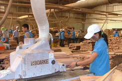Xuất khẩu gỗ của Phú Tài (PTB) tăng 48% trong nửa đầu năm nhờ đơn hàng từ Mỹ