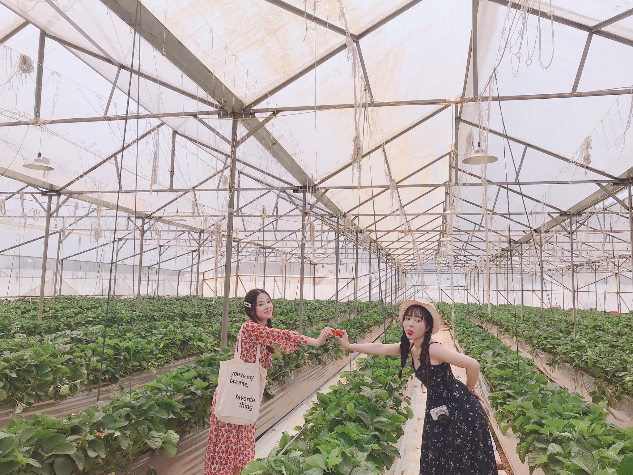 Tour du lịch Sapa khởi hành từ Hà Nội: Chi phí trọn gói chỉ từ 1,1 triệu đồng - Ảnh 12.
