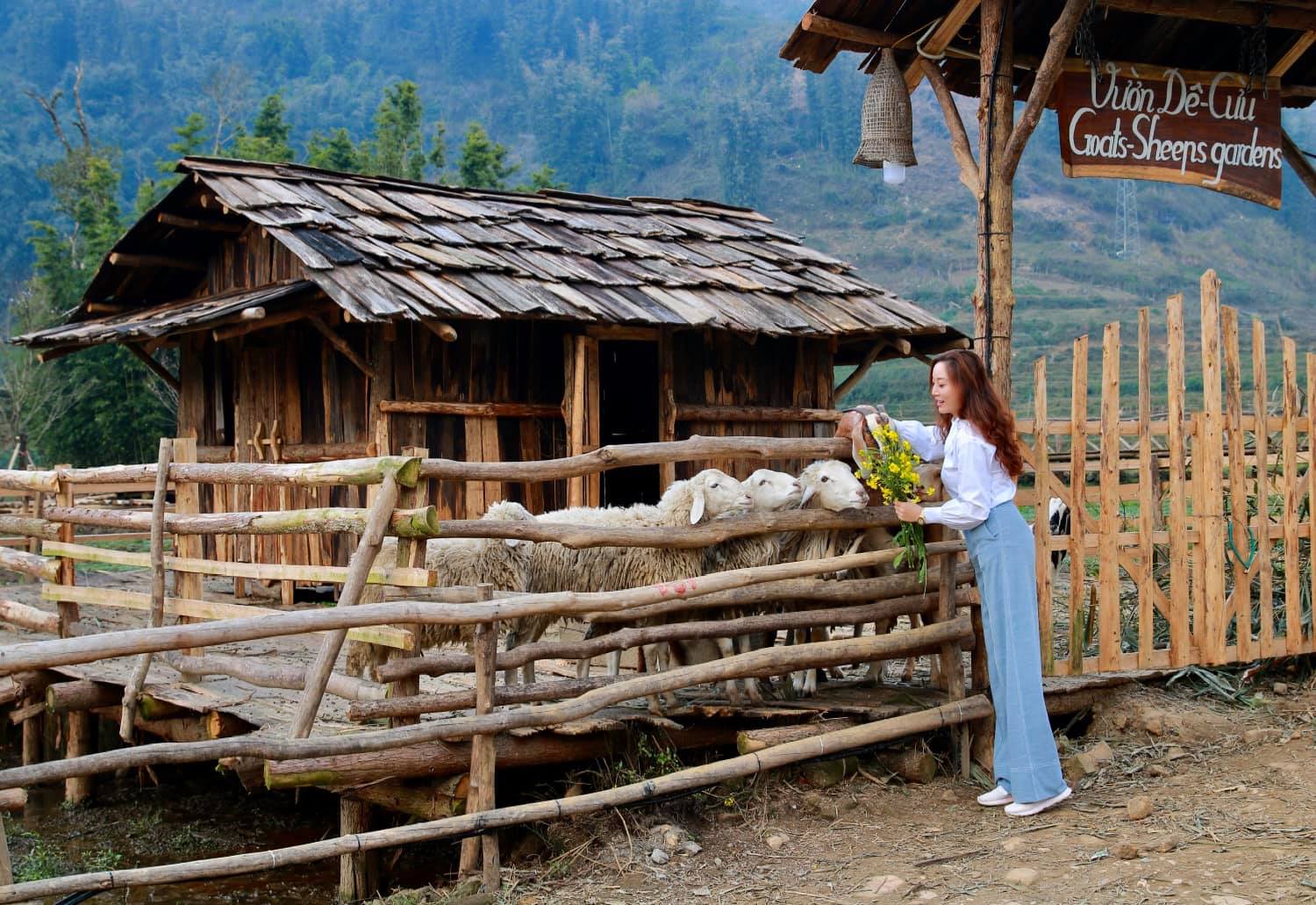 Tour du lịch Sapa 1 ngày: Khám phá 4 tour trọn gói với chi phí cực hấp dẫn - Ảnh 9. Tour du lịch Sapa 1 ngày: Khám phá 4 tour trọn gói với chi phí cực hấp dẫn - Ảnh 9.