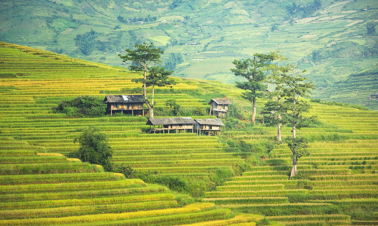 Tour du lịch Sapa 1 ngày: Khám phá 4 tour trọn gói với chi phí cực hấp dẫn - Ảnh 20. Tour du lịch Sapa 1 ngày: Khám phá 4 tour trọn gói với chi phí cực hấp dẫn - Ảnh 20.