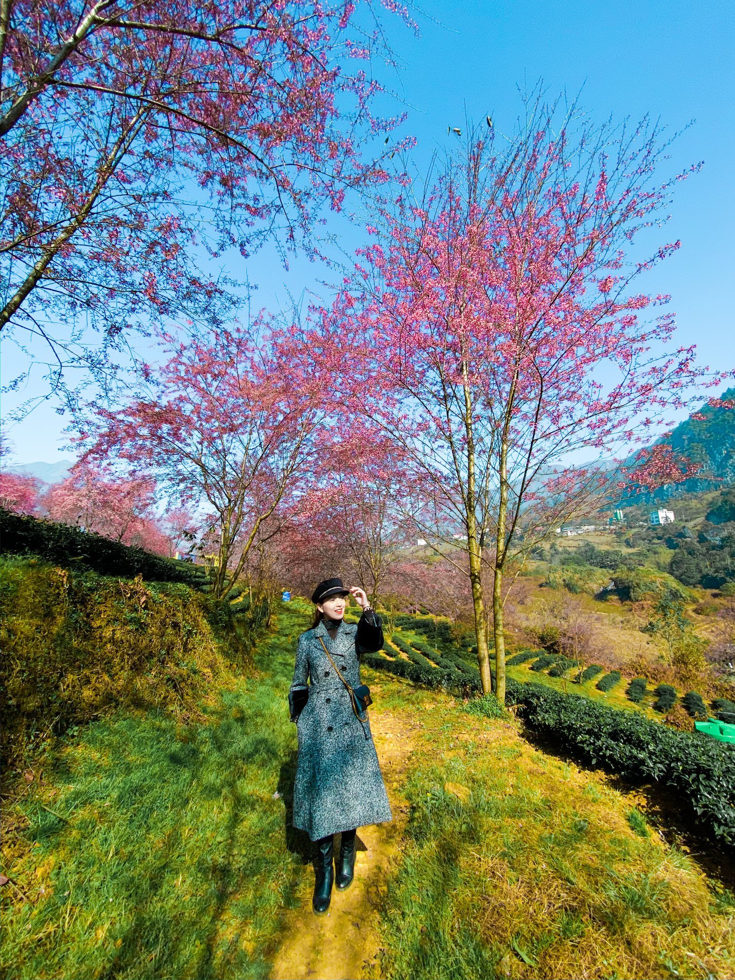 Tour du lịch Sapa khởi hành từ Cần Thơ: Ưu đãi ngập tràn với nhiều gói tour hấp dẫn - Ảnh 4. Tour du lịch Sapa khởi hành từ Cần Thơ: Ưu đãi ngập tràn với nhiều gói tour hấp dẫn - Ảnh 4.