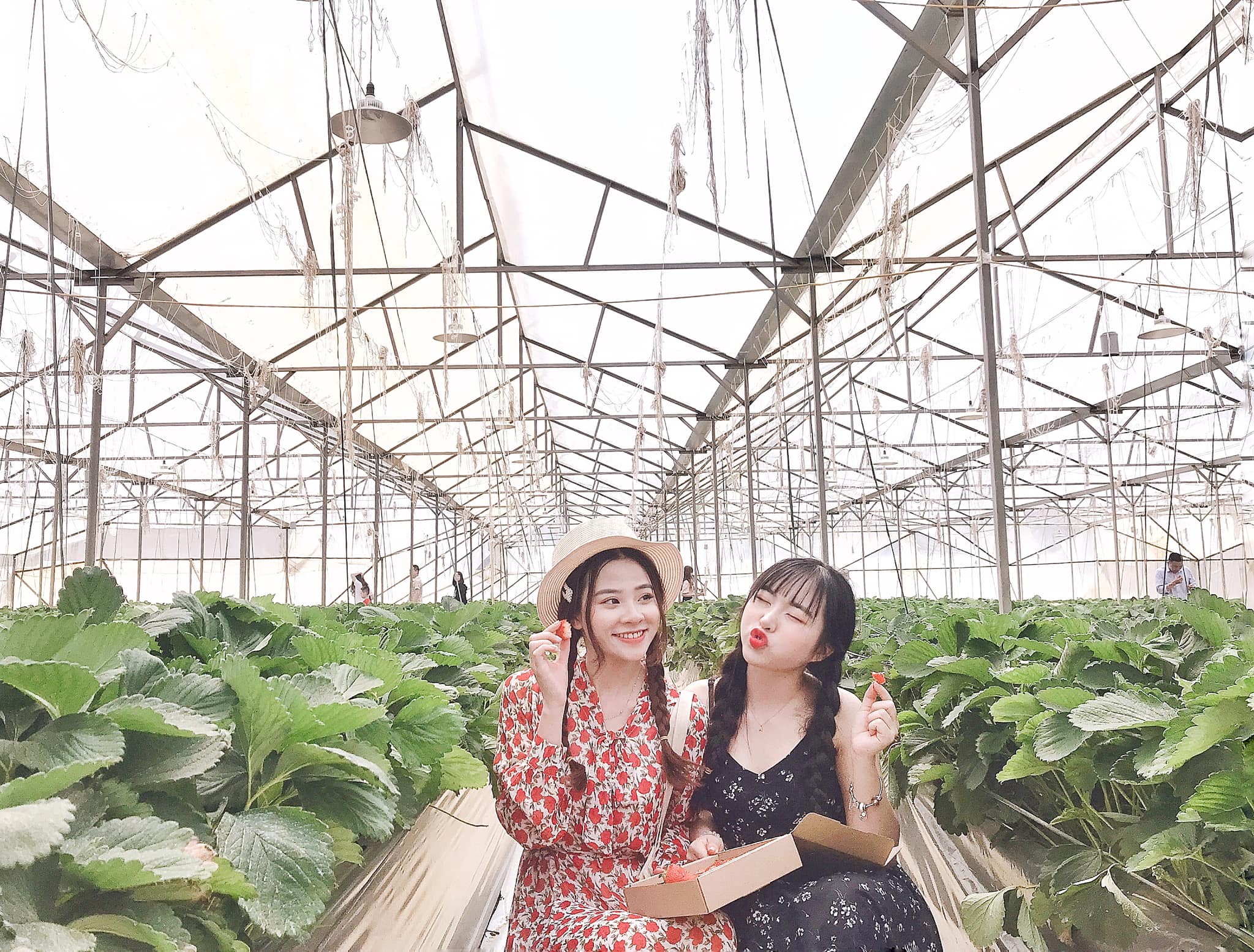 Tour du lịch Sapa khởi hành từ Cần Thơ: Ưu đãi ngập tràn với nhiều gói tour hấp dẫn - Ảnh 8. Tour du lịch Sapa khởi hành từ Cần Thơ: Ưu đãi ngập tràn với nhiều gói tour hấp dẫn - Ảnh 8.
