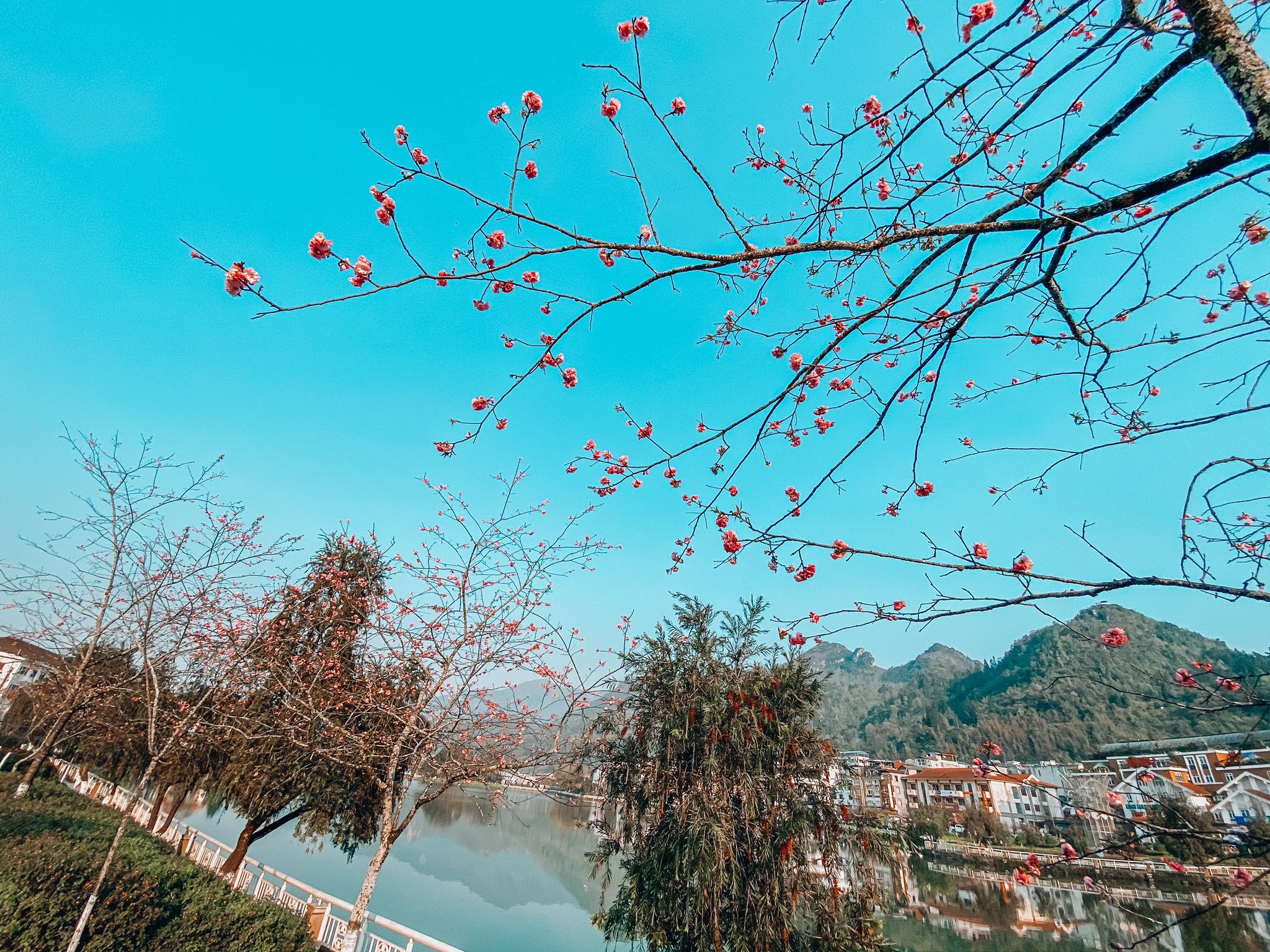 Tour du lịch Sapa từ Bình Dương: Dạo bước thị trấn miền cao cùng vô vàn gói tour hấp dẫn - Ảnh 16. Tour du lịch Sapa từ Bình Dương: Dạo bước thị trấn miền cao cùng vô vàn gói tour hấp dẫn - Ảnh 16.