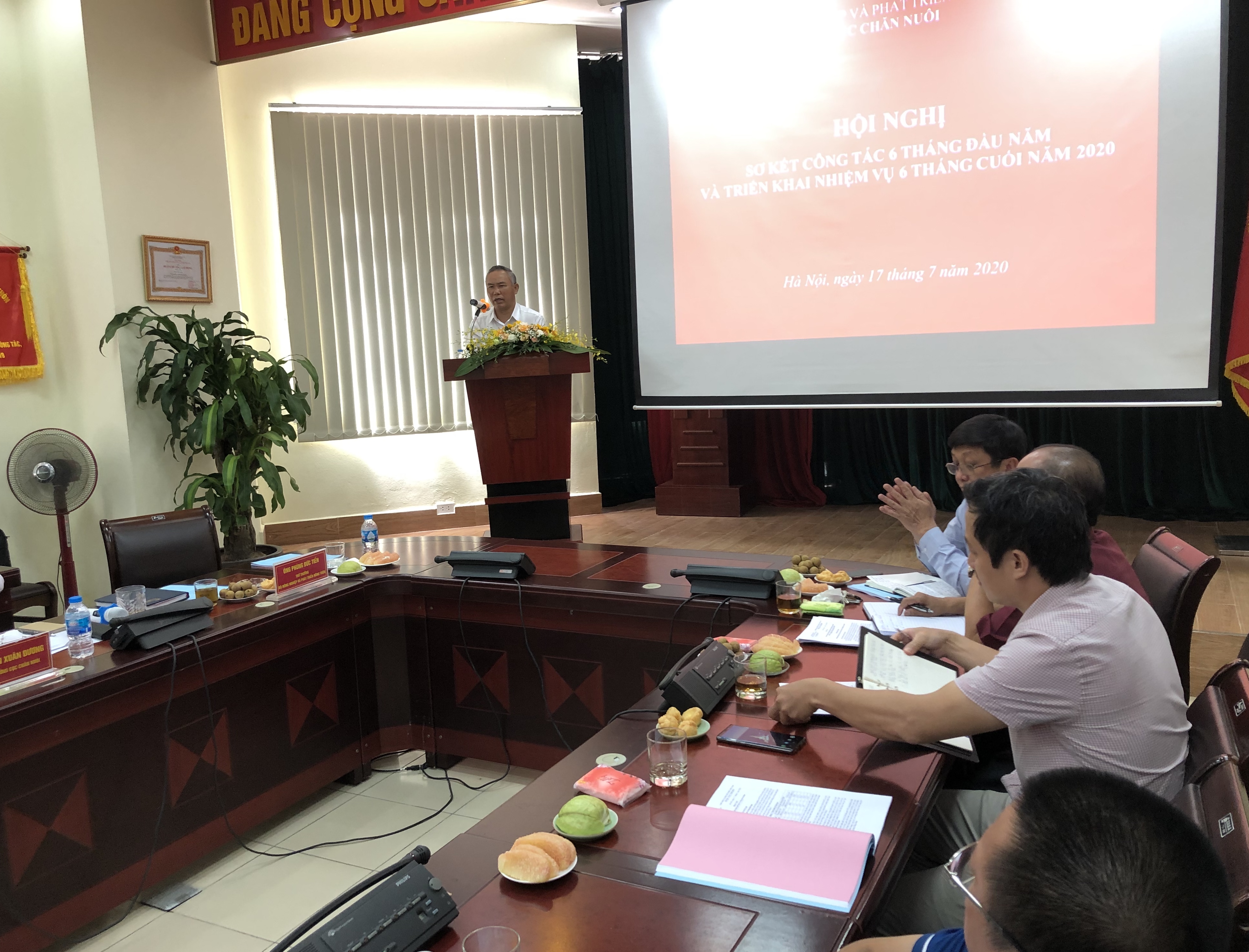 Tổng đàn heo đã khôi phục 79% so với thời điểm trước dịch tả heo châu Phi - Ảnh 1.