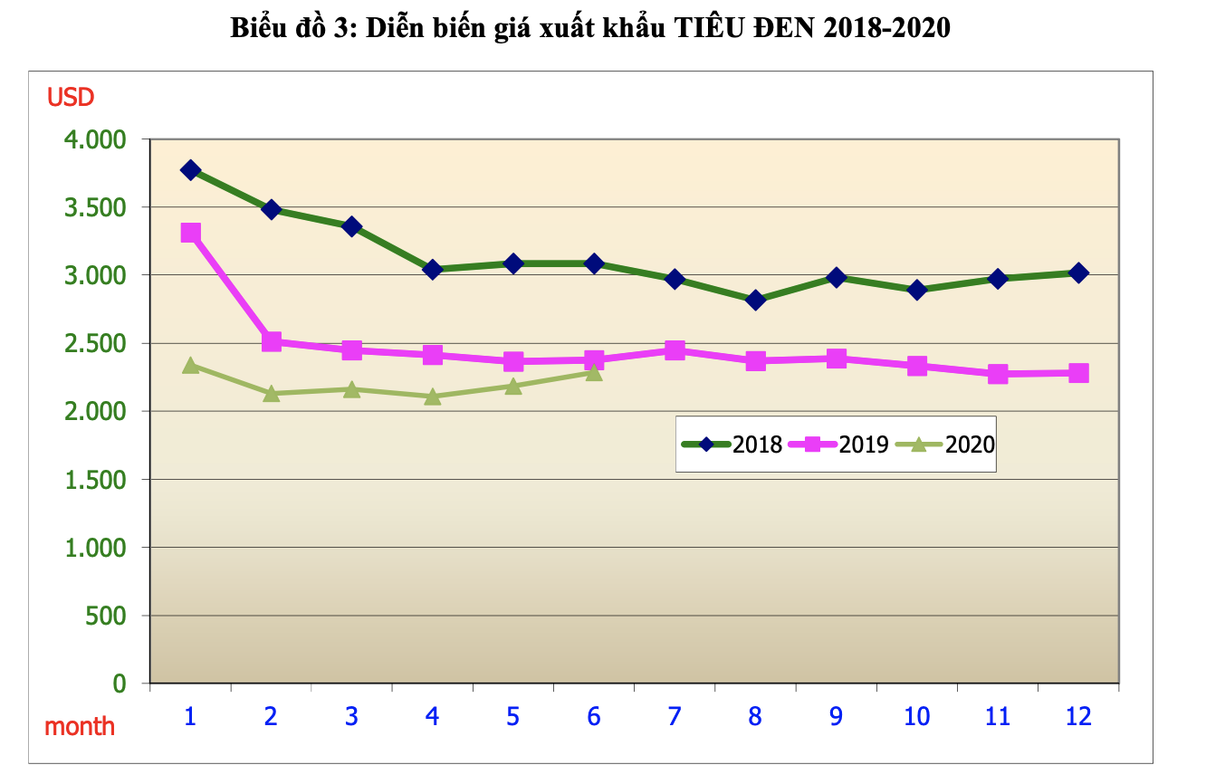 Sản lượng tiêu Việt Nam năm 2020 giảm 15% - Ảnh 1. Sản lượng tiêu Việt Nam năm 2020 giảm 15% - Ảnh 1.