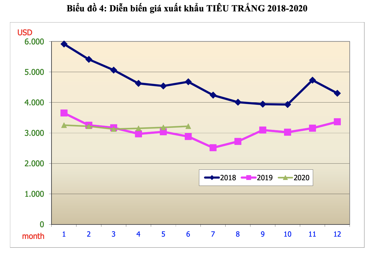 Sản lượng tiêu Việt Nam năm 2020 giảm 15% - Ảnh 2. Sản lượng tiêu Việt Nam năm 2020 giảm 15% - Ảnh 2.
