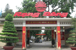 Bóng đèn Phích nước Rạng Đông (RAL) báo lãi quí II tăng 40%, 'đứng vững' trước Covid-19